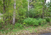 1531 Riverside North - Wooded Lot