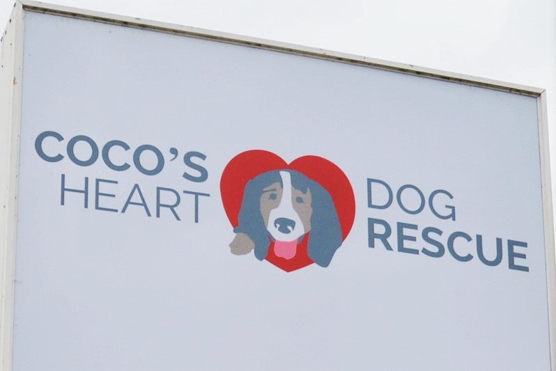 Coco's Heart Dog Rescue Hudson W